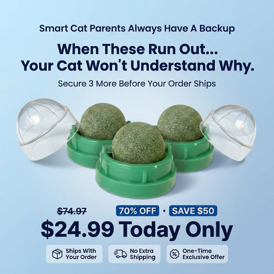 Wall-Ball™ Smart Backup Pack