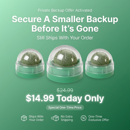 Wall-Ball™ Smart Backup Pack - Off